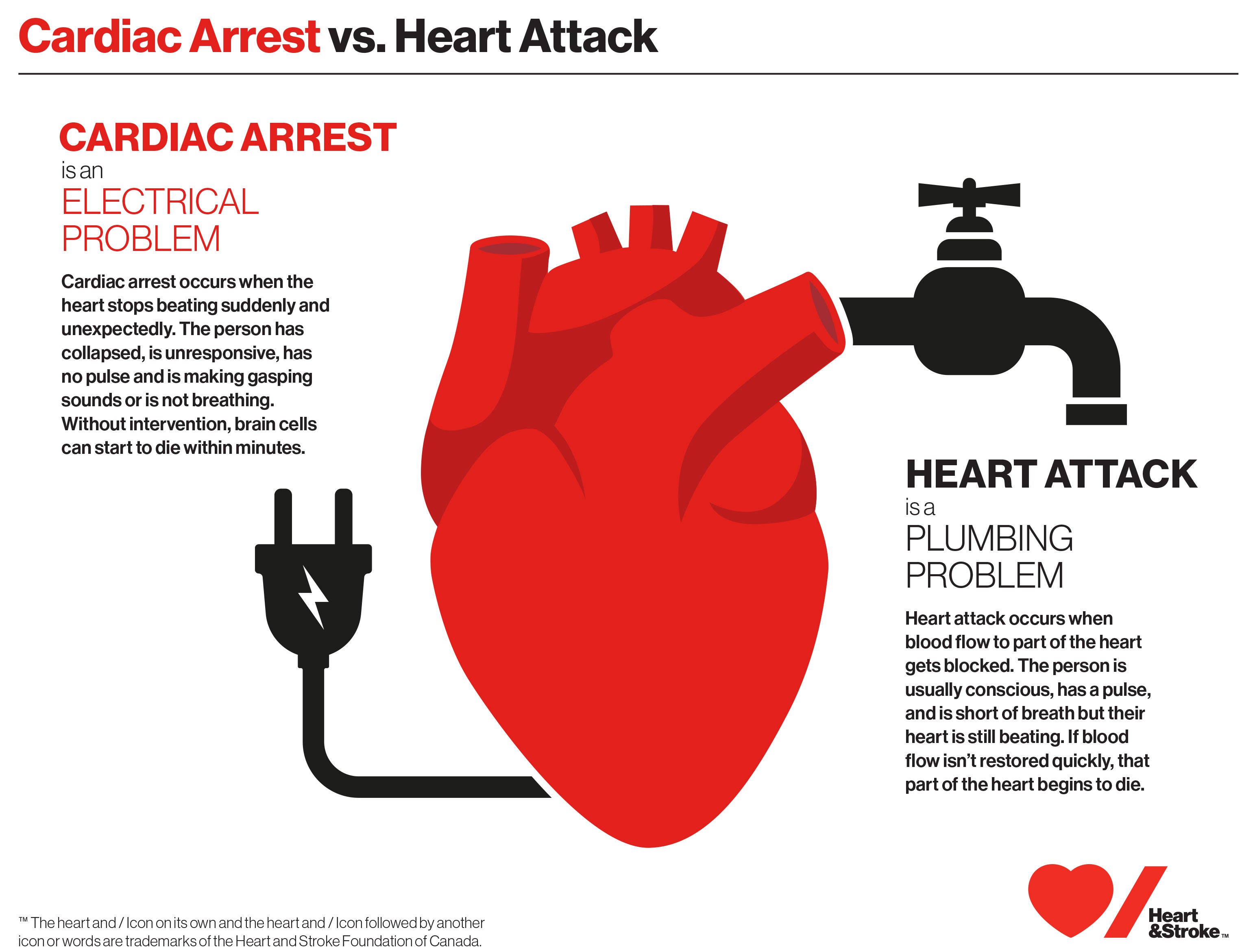 A diagram highlighting the differences between cardiac arrest and a heart attack